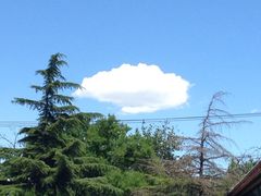 iphone_upload_pic-北京颐和宾馆