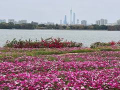 -海珠湖公园