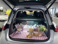 -上海浦东smart汽车全功能店(金桥店)