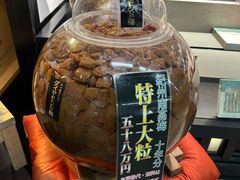 -南纪白浜Toretore市场