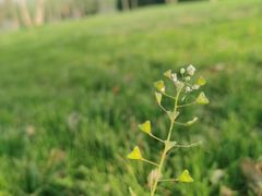 -汉长安城未央宫国家考古遗址公园