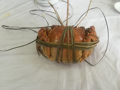 -芸海阁·农家私房菜(沙家浜景区出口店)
