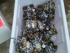 -乡乐园蟹庄·阳澄湖农家乐