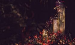 -忆江南婚礼策划(姑苏店)