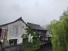 -鲁镇