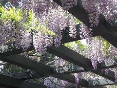 -北京市劳动人民文化宫(太庙)