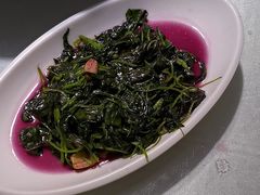-谢氏老金口渔村(王家墩店)