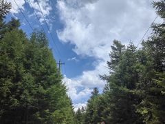 -芦芽山旅游度假区