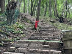 -帽儿山风景区