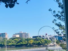 -热带雨林自然公园