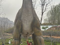 -西部长青自然儿童乐园