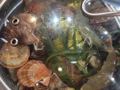 -船梆煮•蒸汽海鲜·炉火烤肉(五四广场店)