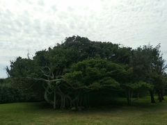 -鹅銮鼻公园