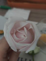-嘉宜国际月子会所