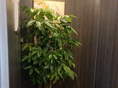 -鹿栖(佛山季华园店)