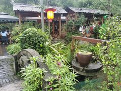 -青城甲(青城山店)