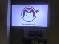 -楼上猫咖(罗湖店)