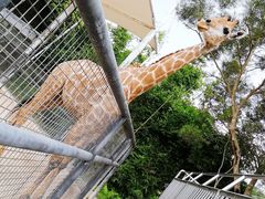 -泉州海丝野生动物世界