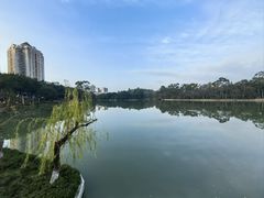 -西湖公园(鼓楼区)