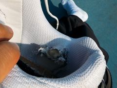 -上海大学（宝山校区）玄陵网球馆