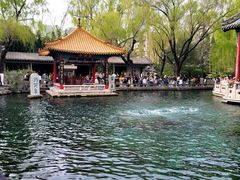 -鹊华居·地道鲁菜·海鲜·融合味(大明湖店)