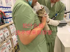 -萌兽医馆·眼科·异宠专科(三里屯店)