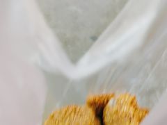 油炸藕饼-陶记正宗德州扒鸡(科巷店)