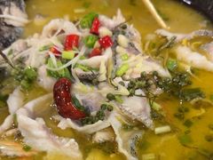 -金三可市井水煮鱼(金碧园店)