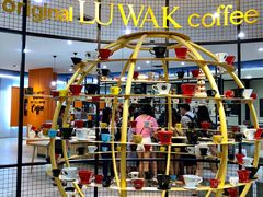 -巴厘岛黄金金兔咖啡工厂