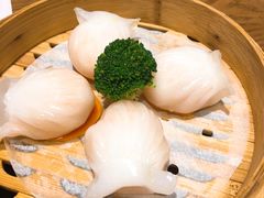 虾饺-香港表哥茶餐厅(银泰百货店)