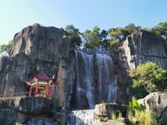 -金鸡山公园