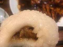 茨毛圆子-双塔老饭店