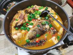 -佬肥猫(七宝宝龙店)