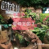 萌宠王国[胜利]