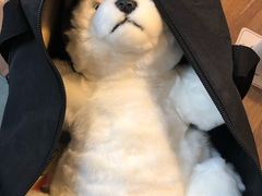 -TrueLove @ Neverland (Husky Cafe)