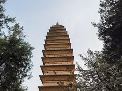 -洛阳白马寺