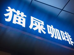 门面-猫屎咖啡(日月光中心广场店)