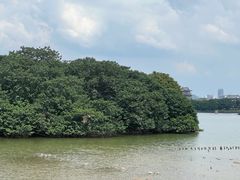 -海珠湖公园