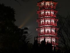 -绳金塔