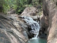 -广州白江湖森林公园