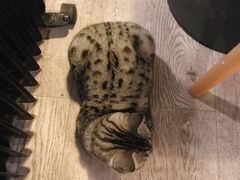 -小时光咖啡馆(北锣鼓巷店)