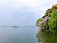 -西湖外事游船(湖滨二公园外事游船码头)