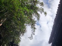 -尧坝古镇