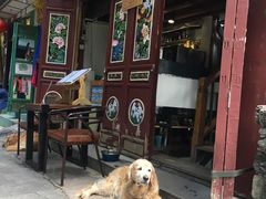 -蓝壁虎咖啡酒馆