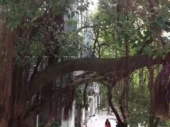 -小洲村