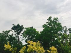 -钱塘江大桥