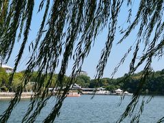 -天目湖山水园