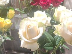 -谷莠子花艺·气球派对·绿植造景·花艺沙龙(金光华广场店)