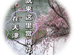 -桃花堤公园