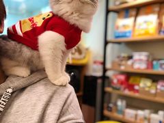 -小尾巴宠物店(万科·金域华庭店)